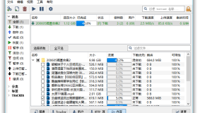 BT下载工具 qBittorrent 5.0.3.10 便携增强版 BT下载工具 qBittorrent 5.0.3.10 便携增强版