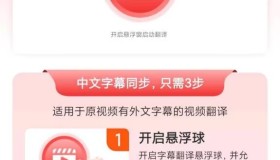 屏幕翻译君解锁会员 支持游戏 电影 动漫实时翻译 屏幕翻译君解锁会员 支持游戏 电影 动漫实时翻译